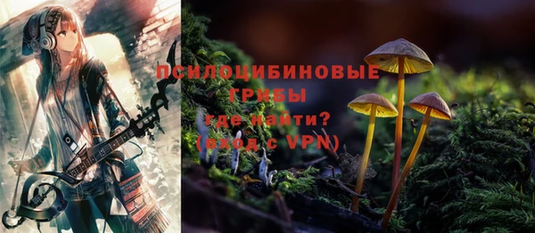 ешки Алексеевка
