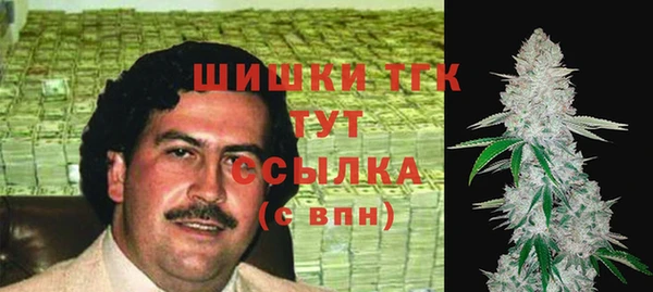 индика Абаза