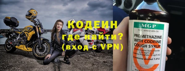 индика Абаза