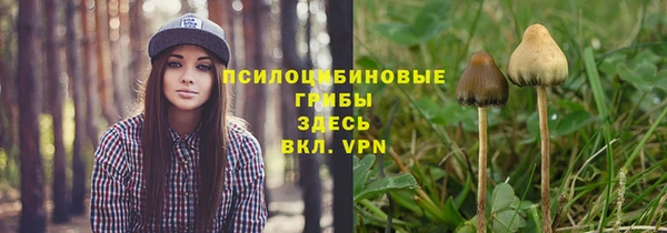 каннабис Болотное