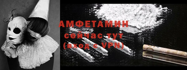 индика Абаза