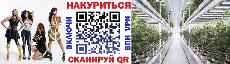omg ССЫЛКА  сколько стоит  Петушки  darknet телеграм  Конопля план 